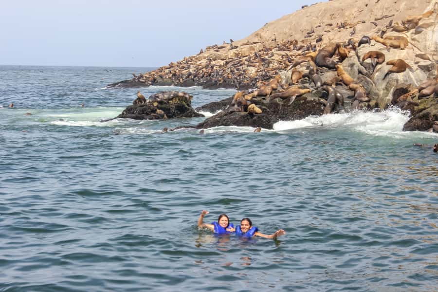 Lima: Palomino Islands Speedboat Tour & Swim with Sea Lions - What the boat ride feels like