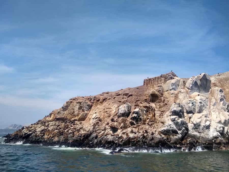 Lima: Palomino Islands Speedboat Tour & Swim with Sea Lions - The $125 price and what it covers