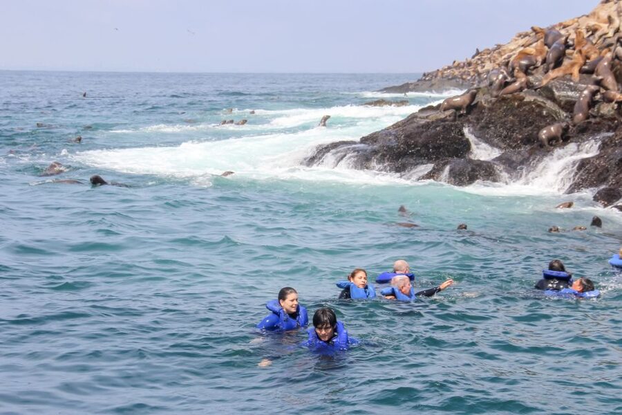 Lima: Palomino Islands Speedboat Tour & Swim with Sea Lions - Timing, comfort, and practical packing