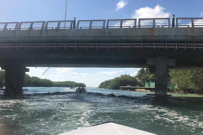 Live the experience of driving an Speedboat & Snorkel in CANCUN - Who will like this outing most