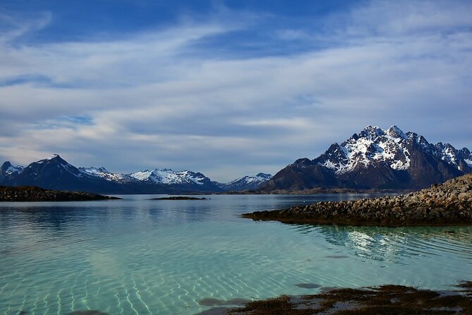 Lofoten RIB Sea Eagle Safari and Trollfjord Cruise - Guide quality and the value of local knowledge
