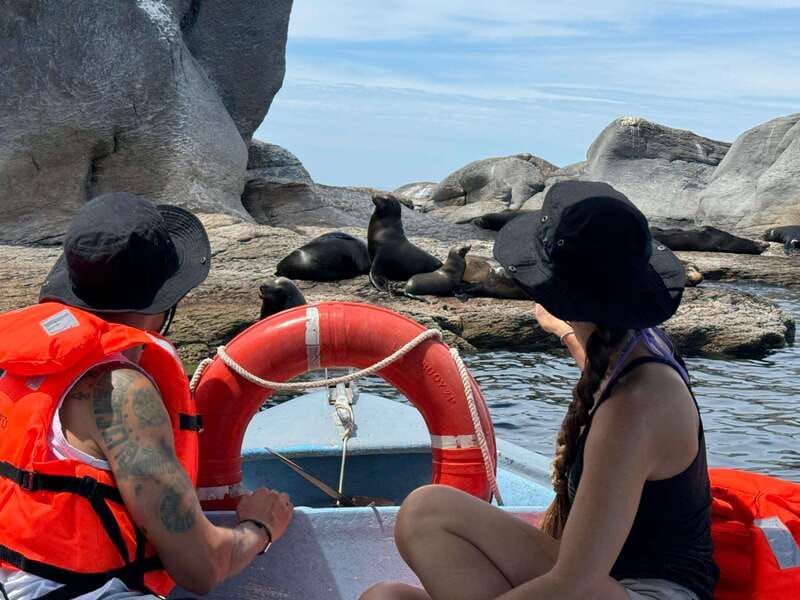 Loreto: Speedboat Tour with Swimming, Snorkeling and Picnic - Should You Book The Loreto Speedboat Tour?