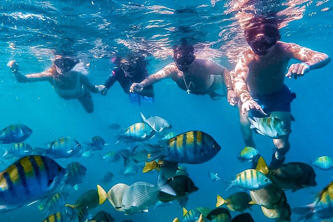 Los Cabos Snorkeling Tour by Speed Boat with Photos Included - A Speedboat Ride to Cabo’s Best-Known Shoreline