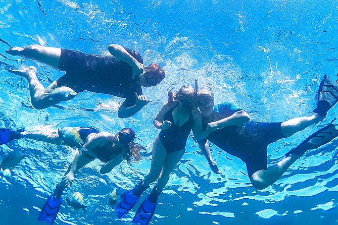 Los Cabos Snorkeling Tour by Speed Boat with Photos Included - Who Will Enjoy This Cabo Excursion