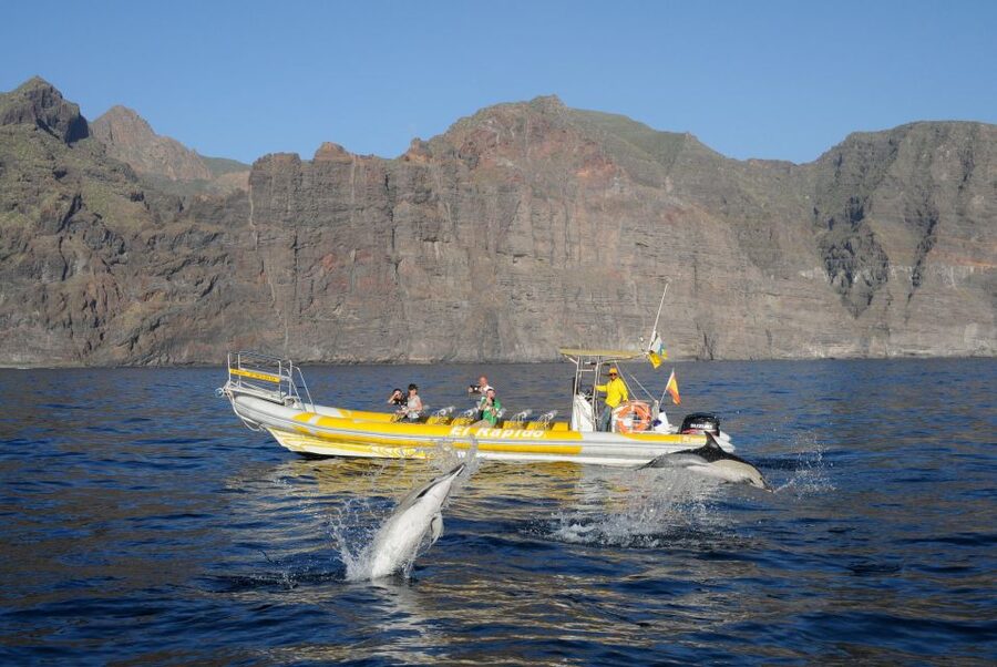 Los Gigantes: Dolphin and Whale Watching Cruise by Speedboat - The cliffs of Masca and Los Gigantes