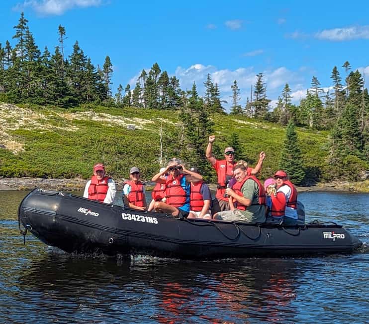 Lunenburg: Zodiac Wildlife Tour with Naturalist Guide - Key points to know