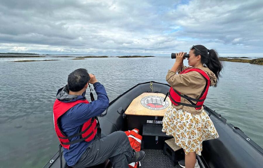 Lunenburg: Zodiac Wildlife Tour with Naturalist Guide - Comfort, clothing, and what to carry