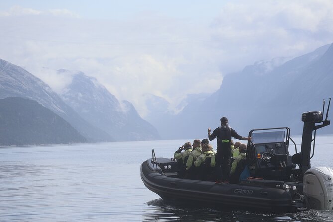 Lysefjord RIB Safari from Stavanger - Key points to know before booking