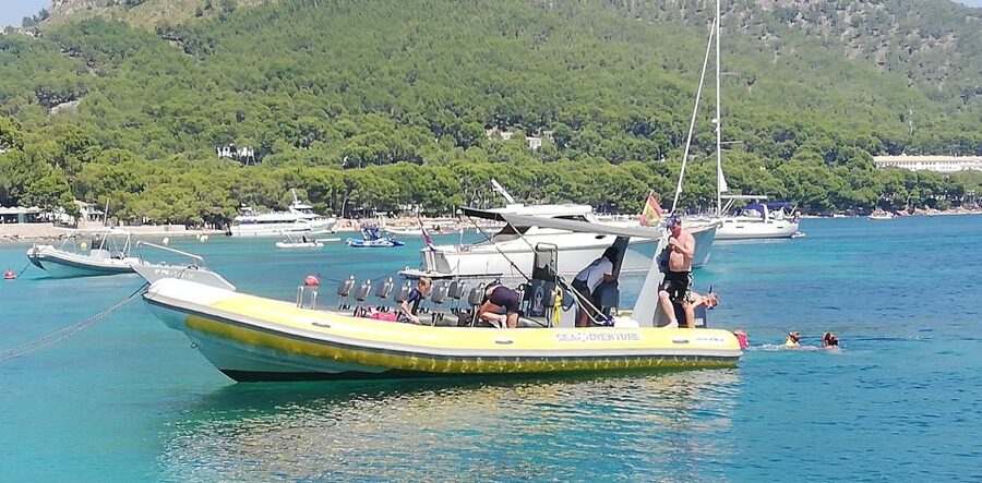 Mallorca : Speedboat, Snorkelling and Swimming Adventure - Who should book this speedboat trip?