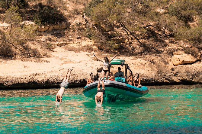 Mallorca: Speedboat Tour, Cathedral Visit, Coves and Snorkeling - Who will enjoy this Mallorca speedboat tour