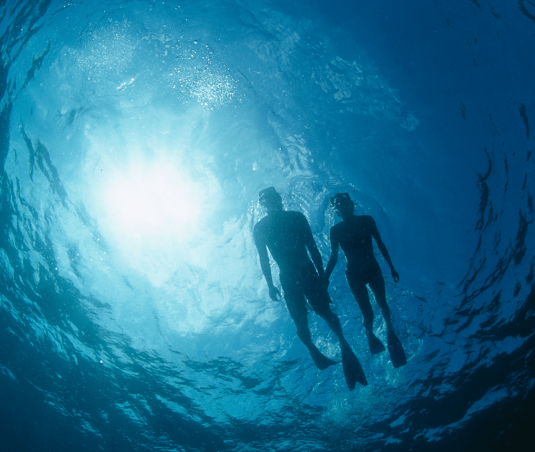 Mallorca: Visit Palma Speedboat adrenaline & snorkelling - Should you book this Palma speedboat trip?