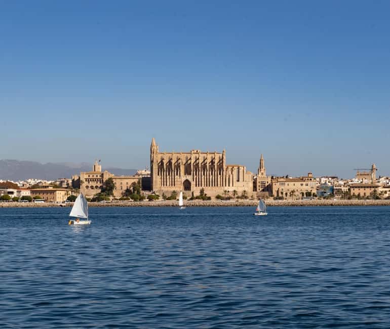 Mallorca: Visit Palma Speedboat adrenaline & snorkelling - The Ses Illetes stop and what to expect in the water
