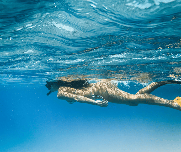 Mallorca: Visit Palma Speedboat adrenaline & snorkelling - Why the cathedral and swim stop improve the value