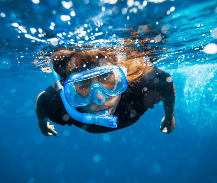 Mallorca: Visit Palma Speedboat adrenaline & snorkelling - What to bring and what not to expect