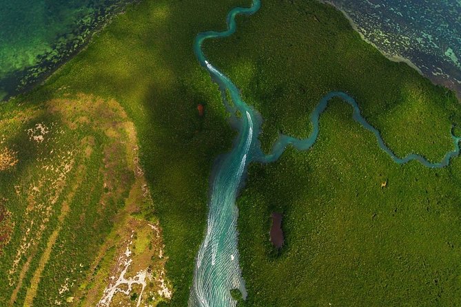Mangrove and Lagoon Speed Boat Tour - What the mangrove route feels like