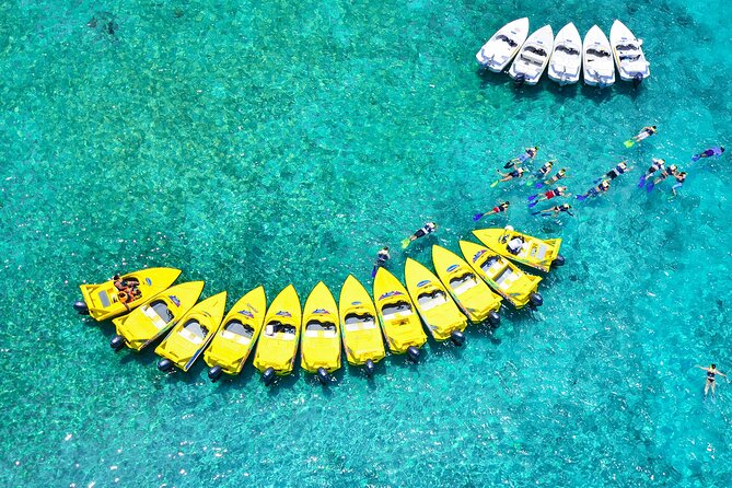 Mangrove Jungle Speedboat Experience - Snorkeling the Mayan Coral Reef