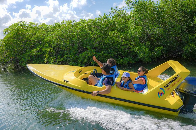 Mangrove Jungle Speedboat Experience - The Museo Subacuatico de Arte stop
