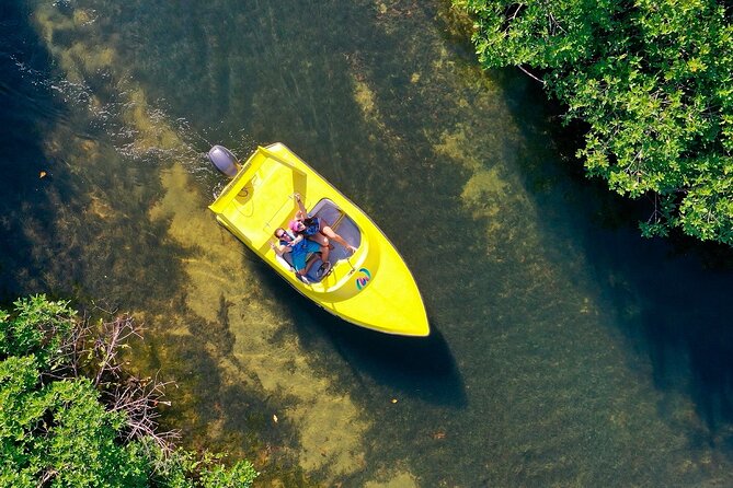 Mangrove Jungle Speedboat Experience - Choosing the right departure time
