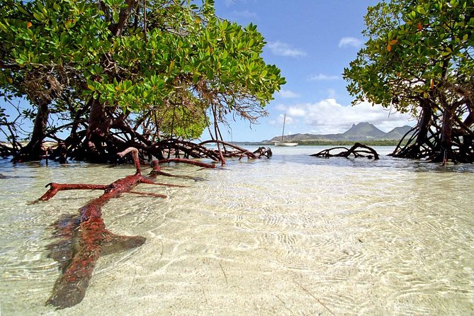 Marvelous Ile aux Cerf island: Speed Boat, Parasailing, Lunch & GRSE waterfall - Why This Mauritius Island Day Works