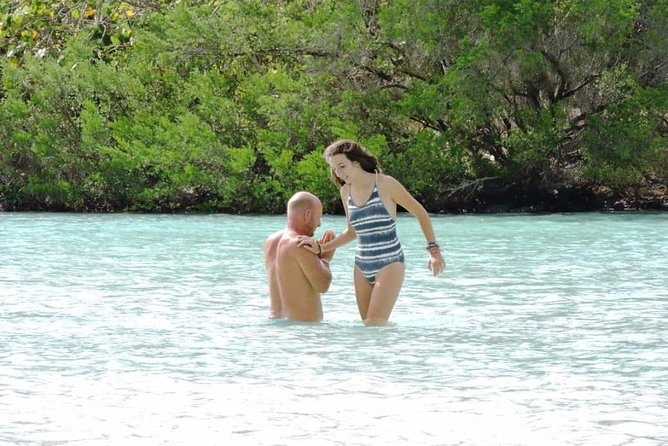 Marvelous Ile aux Cerf island: Speed Boat, Parasailing, Lunch & GRSE waterfall - Who Will Get the Most from This Tour