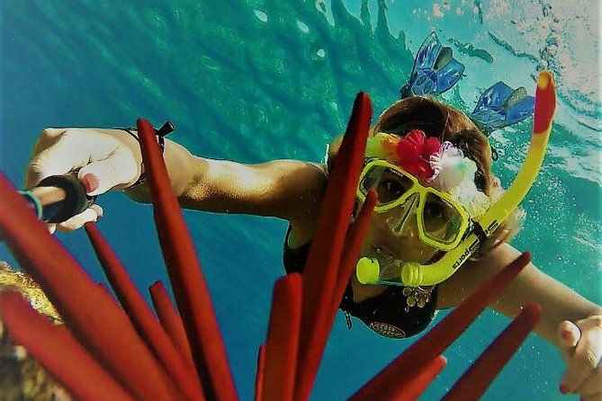 Maui Snorkel Adventure: Molokini Crater and Turtle Cove - Why this small raft makes Molokini different