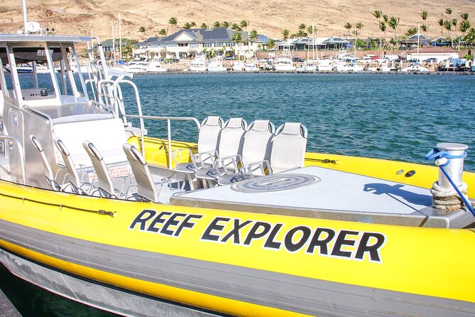 Maui Snorkel Adventure: Molokini Crater and Turtle Cove - What weather and wildlife can change