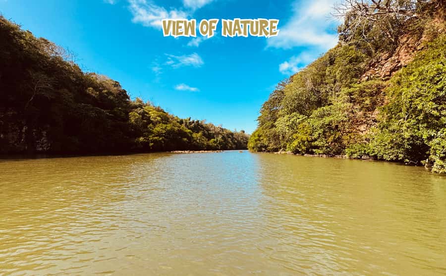 Mauritius: 5 Islands of the East Speedboat Tour with BBQ - BBQ lunch near Îlot Mangenie