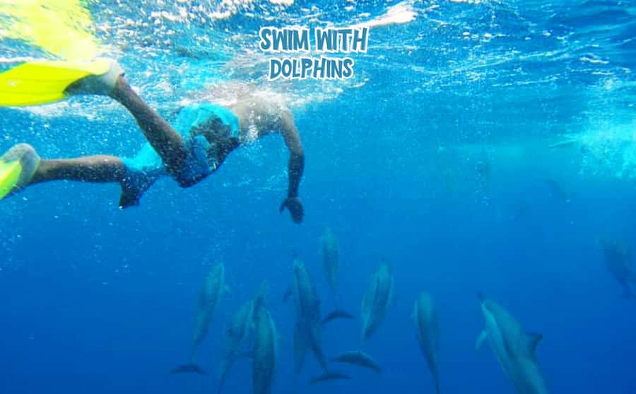 Mauritius: Benitier Island - Swim Dolphins - Speedboat & BBQ - The secret stop and time in the water