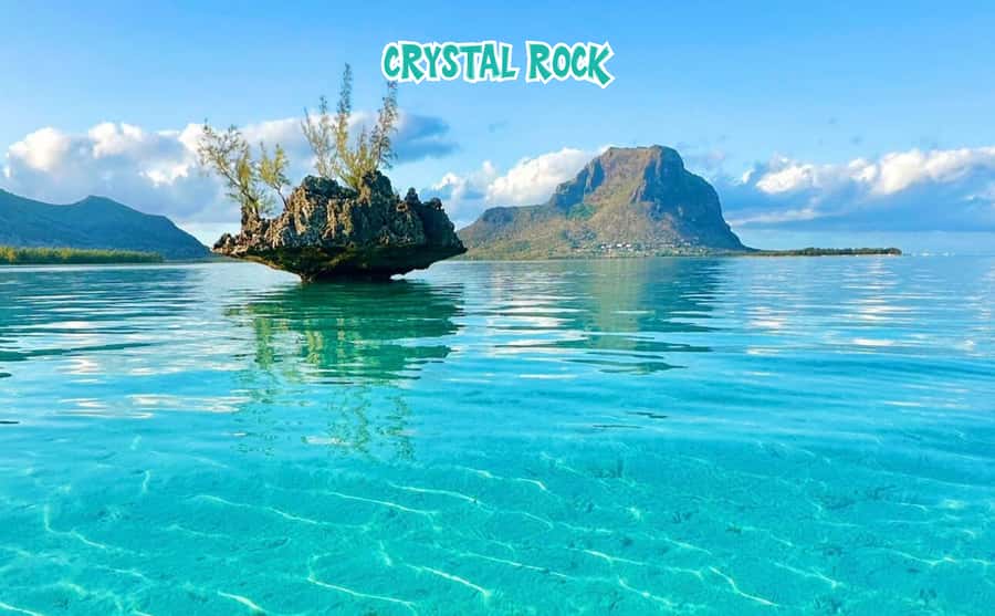 Mauritius: Benitier Island - Swim Dolphins - Speedboat & BBQ - How the price holds up at $88