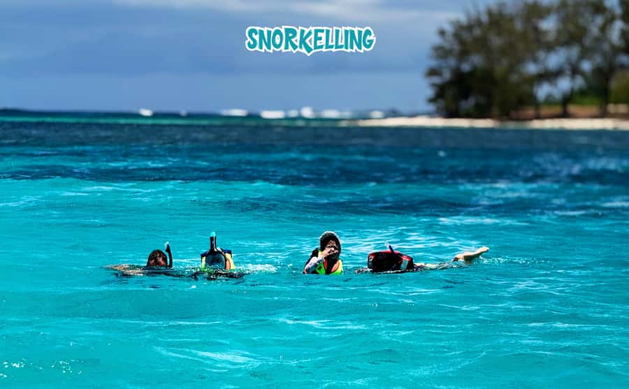 Mauritius: Benitier Island - Swim Dolphins - Speedboat & BBQ - The guides and the practical details