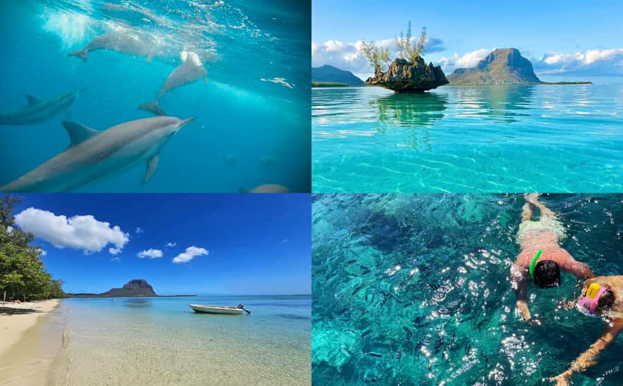 Mauritius: Benitier Island - Swim Dolphins - Speedboat & BBQ - Looking for dolphins off Black River
