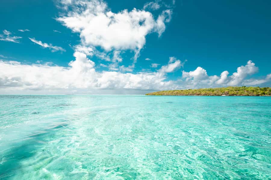 Mauritius: Full-Day Speedboat Tour to Ile aux Cerfs & BBQ - Grand River South East and its waterfall