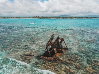 Full-Day Speedboat Tour to Ile aux Cerfs & BBQ