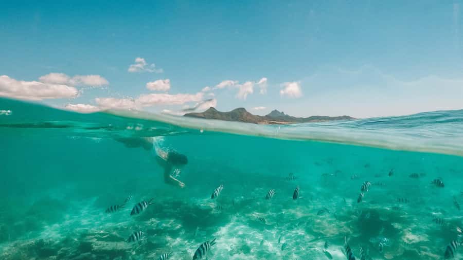Mauritius: Full-Day Speedboat Tour to Ile aux Cerfs & BBQ - Who should book this experience?