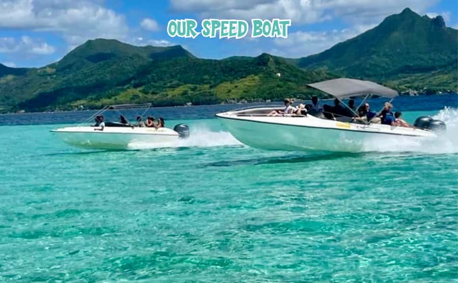 Mauritius: Ile aux Cerfs Speedboat Tour with Lunch & Drinks - What this six-hour Mauritius outing actually delivers