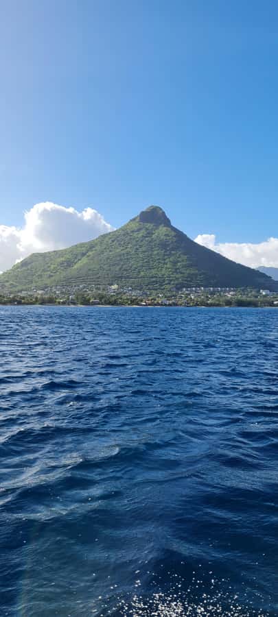 Mauritius: Snorkel and Swim with Dolphins on Speedboat Tour - Swimming, Snorkeling, and Returning to the Boat