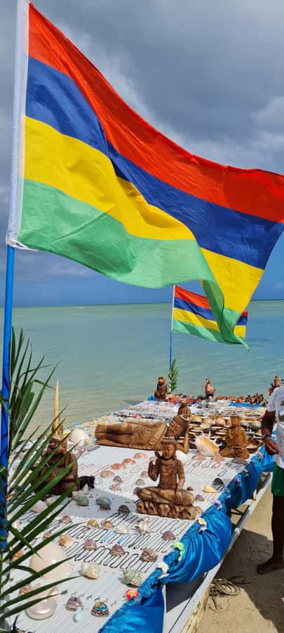 Mauritius: Snorkel and Swim with Dolphins on Speedboat Tour - Practical Comfort and Safety
