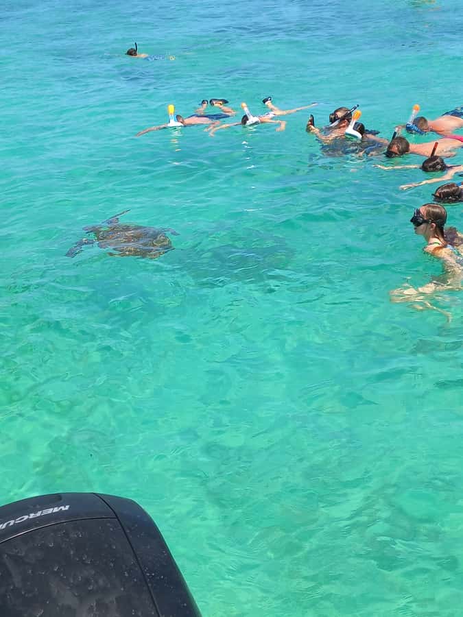 Mauritius: Snorkeling with turtles Le Transporteur speedboat - Leaving Grand Baie by private speedboat