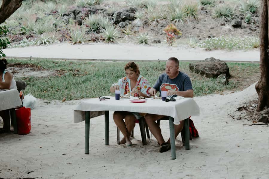 Mauritius: Speedboat Tour to Ile aux Cerfs with Lunch - Key points at a glance