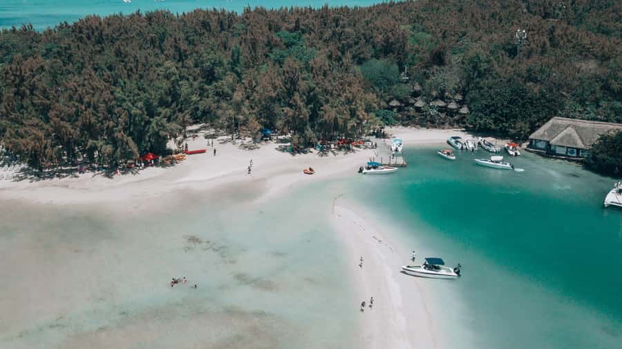 Mauritius: Speedboat Tour to Ile aux Cerfs with Lunch - Who will enjoy this boat trip most