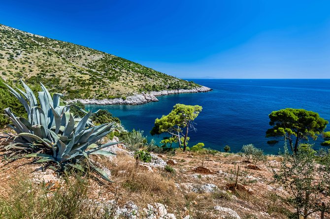 Mesmerizing Hvar speed boat tour with optional wine tasting - What the $659.41 group price really means