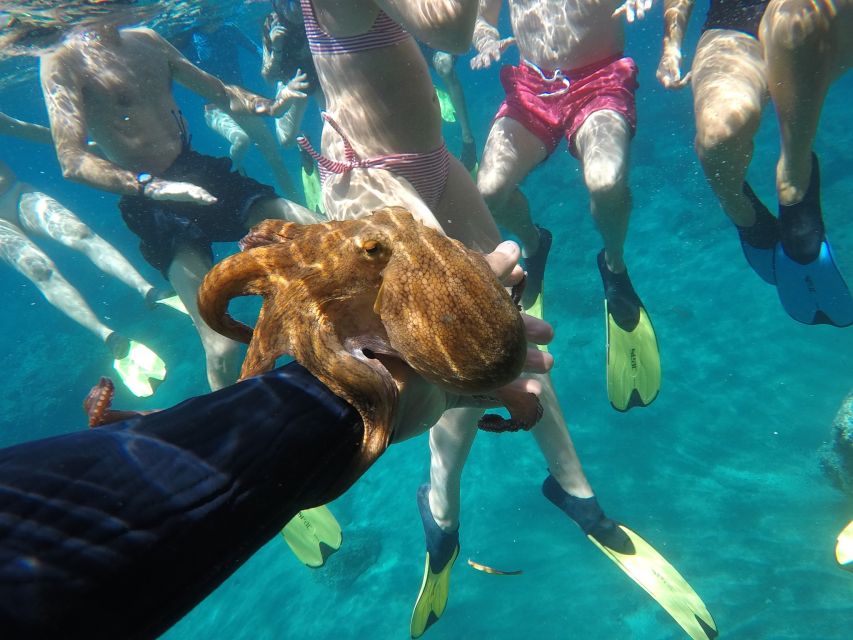 Milos: Half-Day Speedboat Cruise to Klefiko with Snorkeling - Photos, food, and the onboard feel