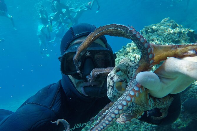 Milos: Half-Day Speedboat Cruise to Kleftiko with snorkeling tour - What comes with the ticket