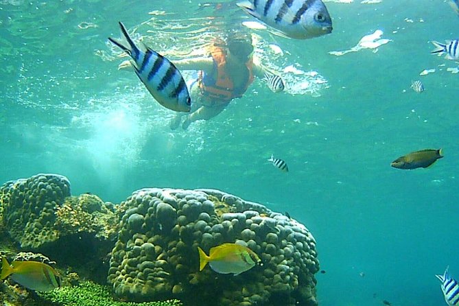 Mr. Tu Day Trip to Angthong Marine Park by Speed Boat from Koh Samui - Koh Sam Sao, lunch, and the Stonebridge
