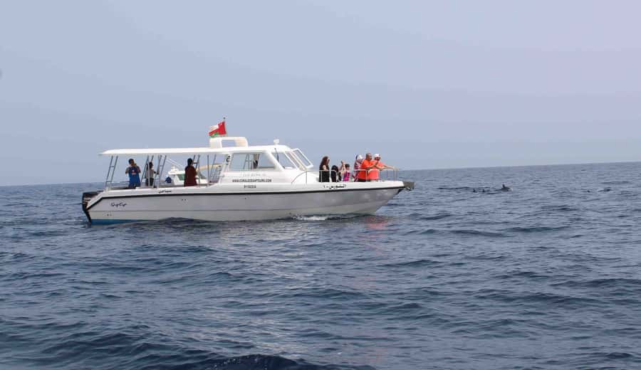 Muscat: Dolphin Watching and Snorkeling Tour By Speed Boat - Key points to know before booking