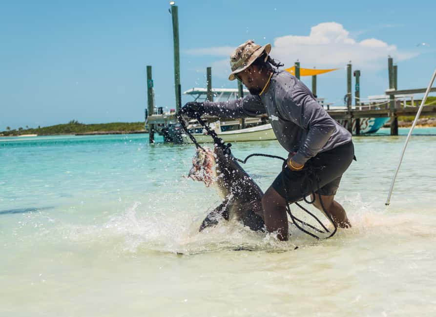Nassau: Exuma Powerboat Day Trip - Stingrays bring the most direct water contact