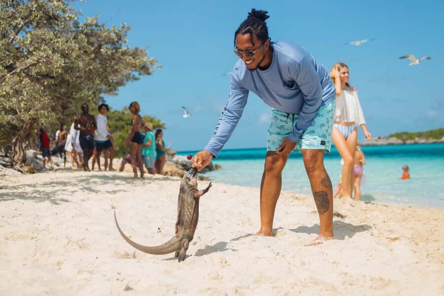 Nassau: Exuma Powerboat Day Trip - Shark feeding is close, but not quite swimming with sharks