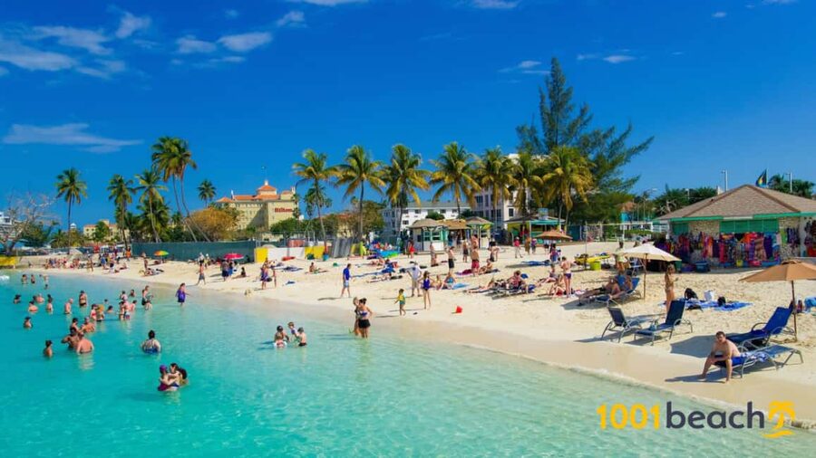 Nassau: Self Drive Speed Boat & Guided ATV Tour + Free Lunch - Should you book it?