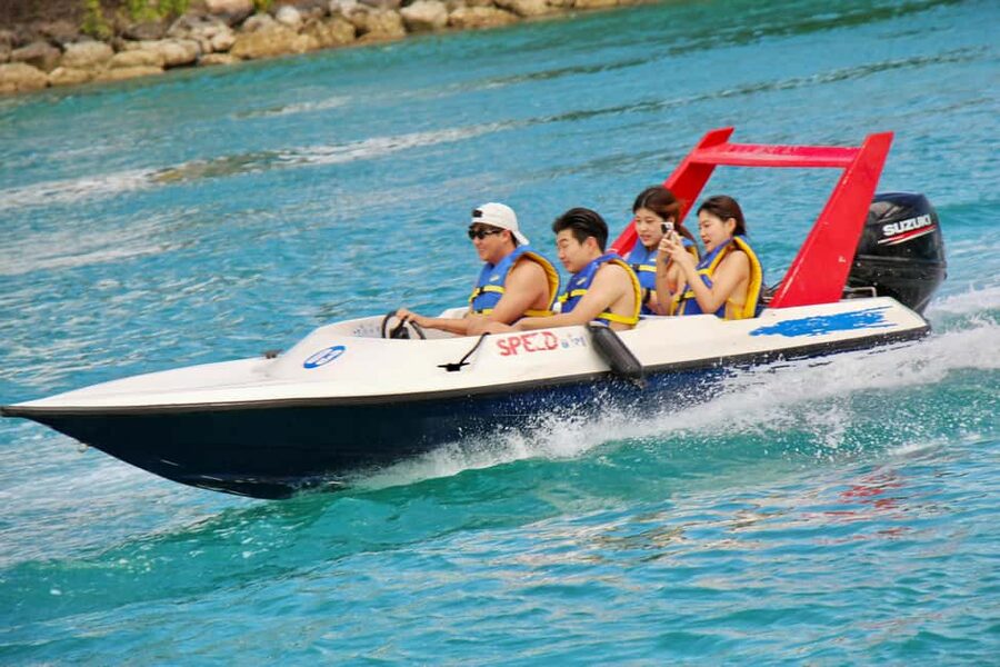 Nassau: Self-Drive Speedboat Ride and Pig Swimming Encounter - Key points to know before booking
