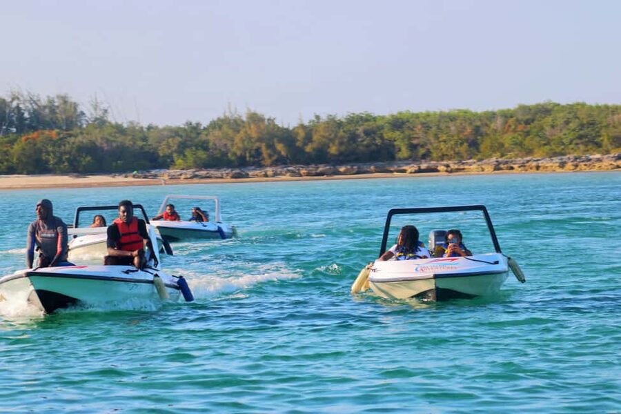 Nassau: Self-Drive Speedboat Ride and Pig Swimming Encounter - Should you book the self-drive pig encounter?